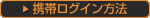 �g�у��O�C�����@