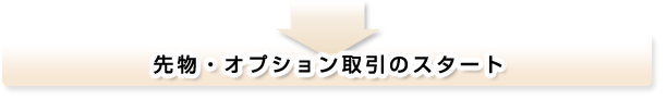 �敨�E�I�v�V��������̃X�^�[�g