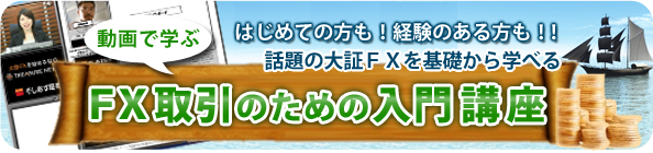 ����Ŋw�ԁ@FX����̂��߂̓���u��