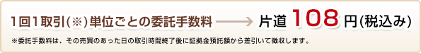 �y�g���W���[�l�b�gFX�E�}�C���[�W5000�萔���z